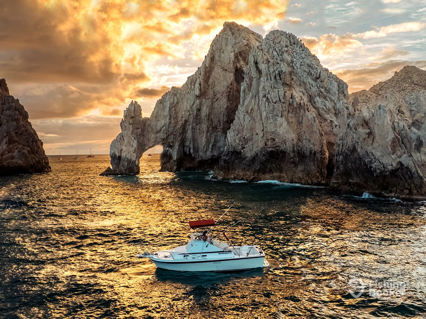 Cabo San Lucas Sport Fishing